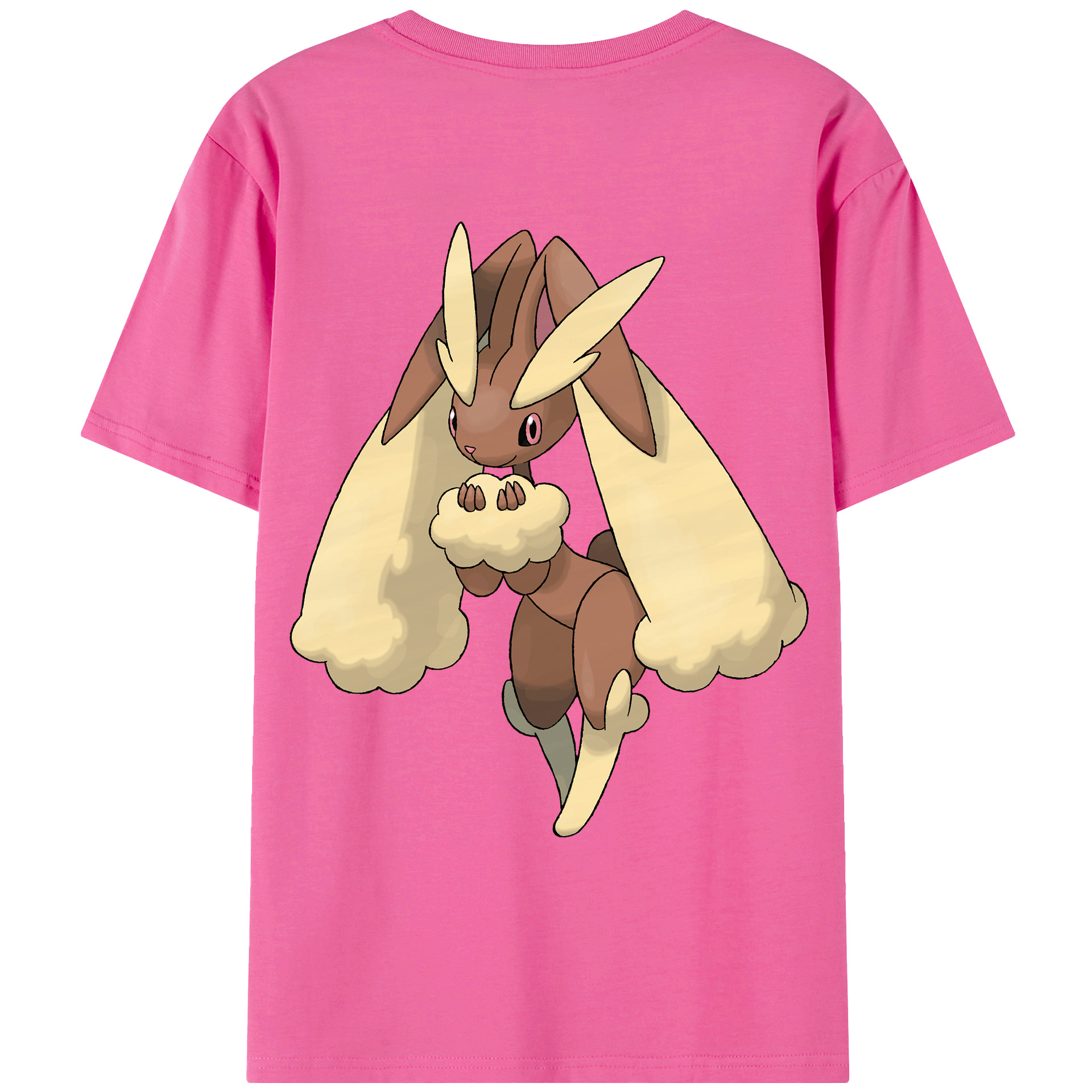 （画像用） ポケットモンスター Pokémon レディース半袖Tシャツ(バックプリント)